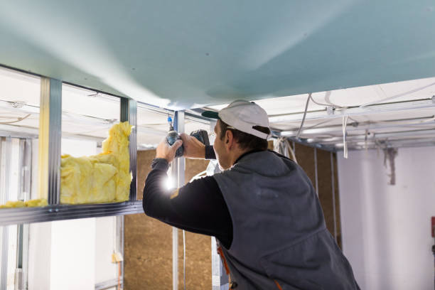 Best Insulation Removal  in Smithers, WV