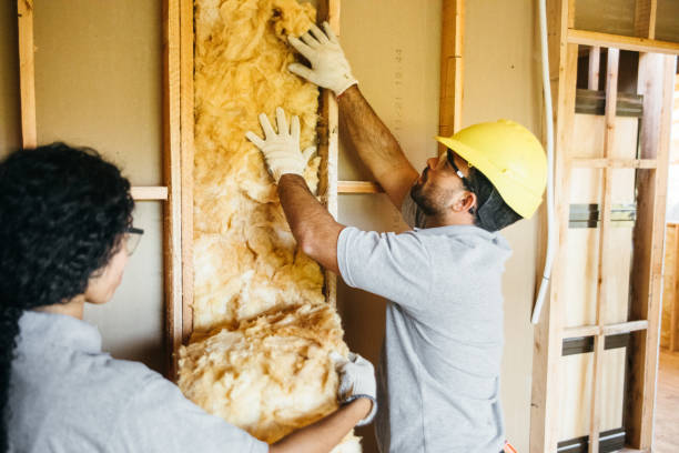 Best Insulation Repair Services  in Smithers, WV
