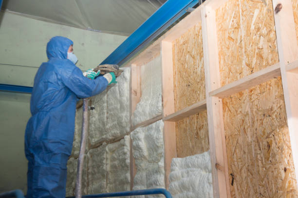 Best Attic Insulation Installation  in Smithers, WV