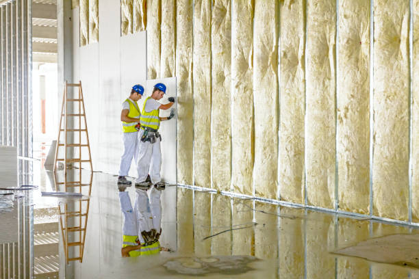 Best Spray Foam Insulation  in Smithers, WV